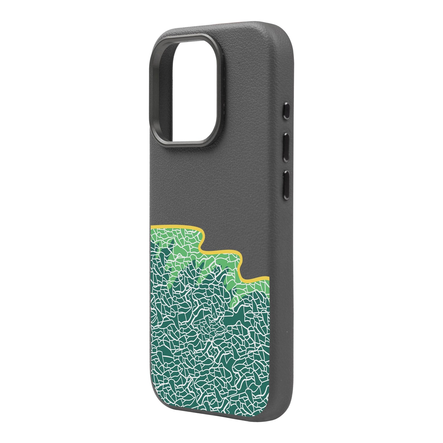 SEA-iPhone 16 Pro Max Leather Premium Kılıf MagSafe Özellikli