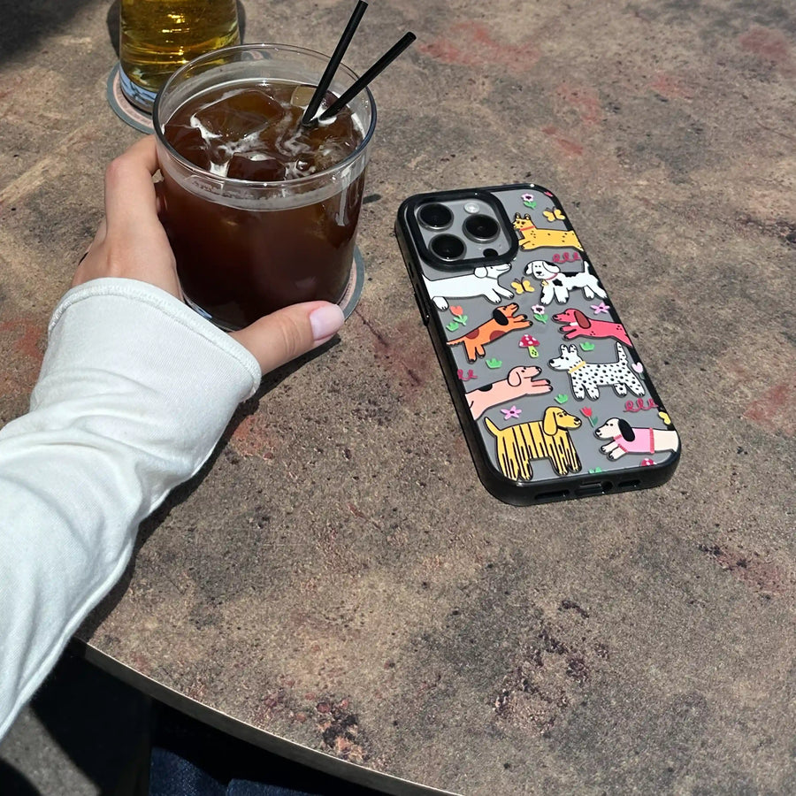 POWER CASE