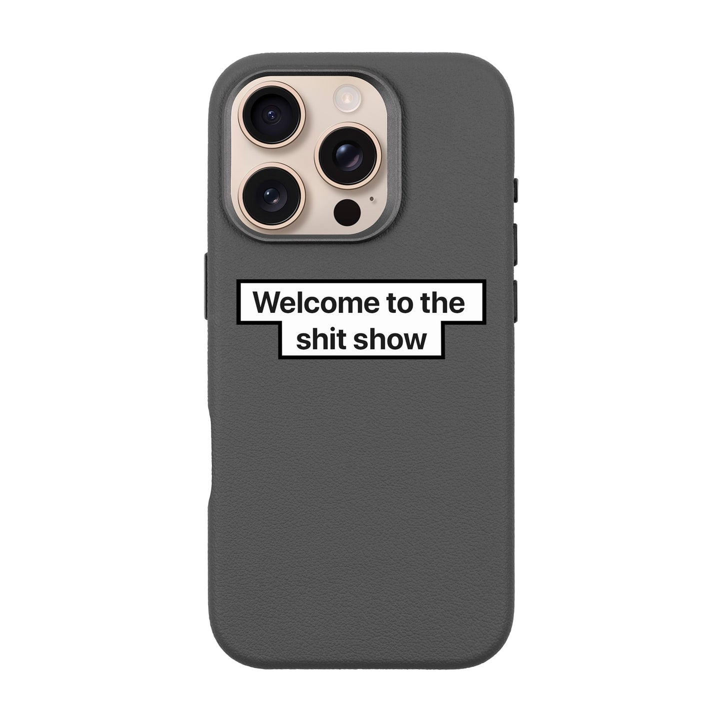 WELCOME-iPhone 16 Pro Leather Premium Kılıf MagSafe Özellikli