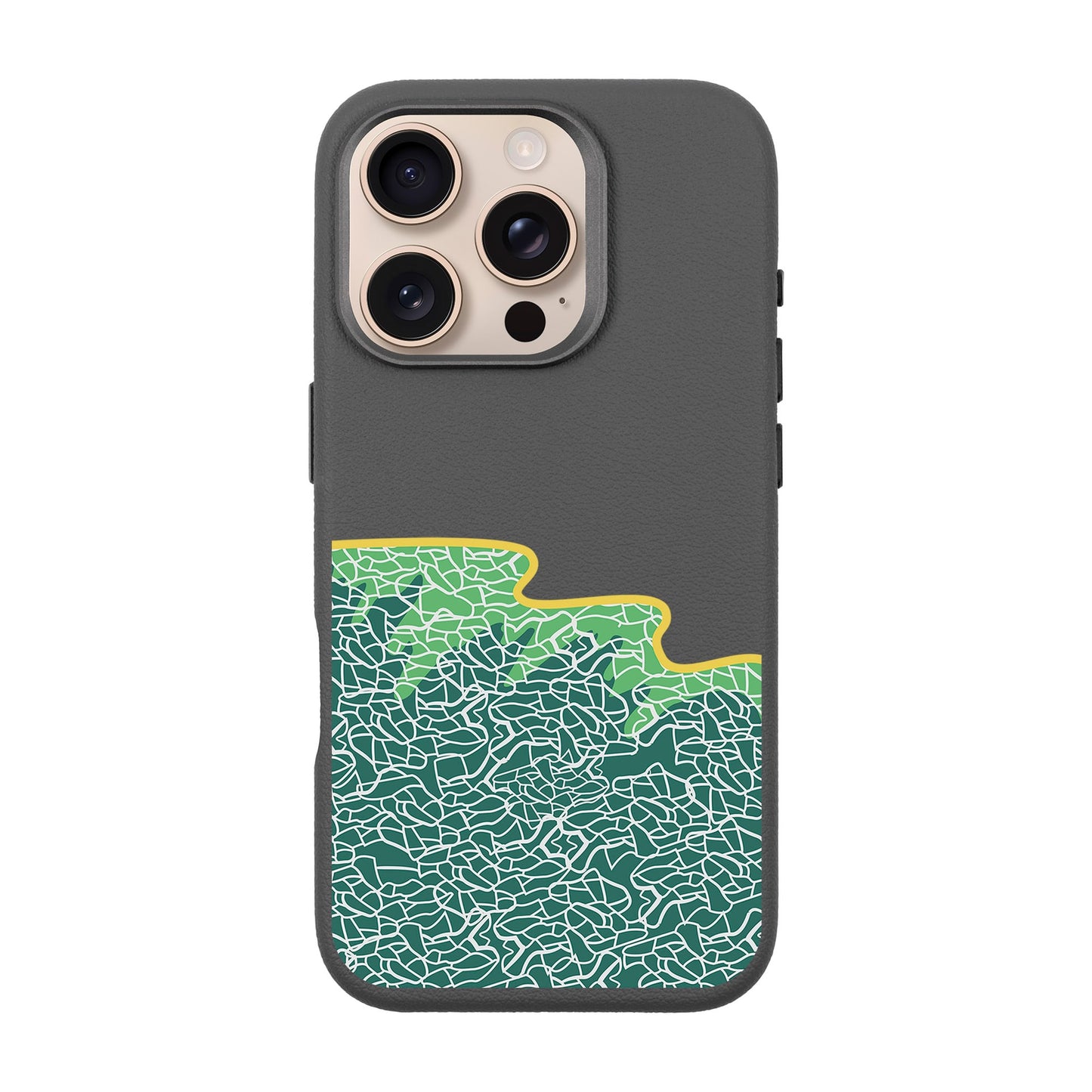 SEA-iPhone 16 Pro Leather Premium Kılıf MagSafe Özellikli